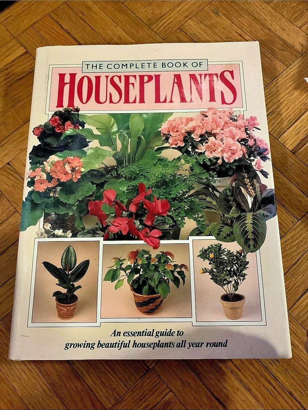 B. Mitchell The Complete Book of Houseplants First Printing
